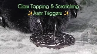 Furry Asmr: Claw Tapping & Scratching✨