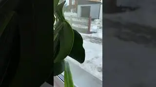 Хочется тепла в ❤️.                                       Берегите себя и своих близких.