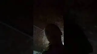 Si o no?