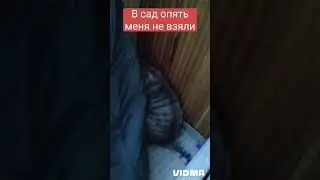1 июля 2024 г.