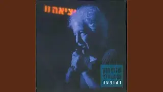 Dialogue (Live)