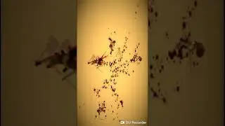 A WAY TO SLAY( Complete 