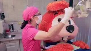 Tomy visita al dentista
