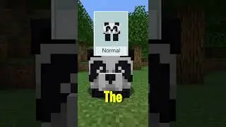 What’s The Slowest Mob In Minecraft! #minecraftshorts
