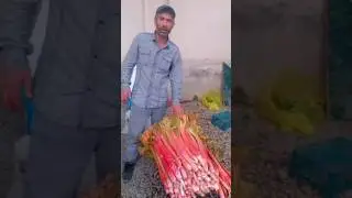 Дар Ваҳдат, чикри таисанги. В Таджикистане город Вахдат, кислячка. #tajikistan #ромит #shortsvideo