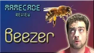 Beezer Arcade Game Review - MAMECADE