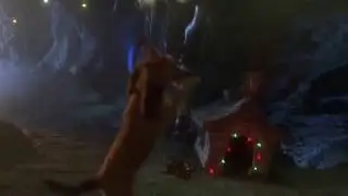 Max's Dancing to Who Let the Dogs Out