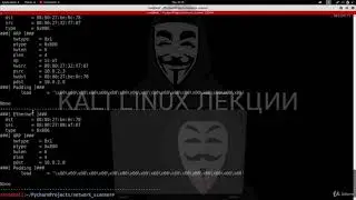 Перебор списка и Анализ пакета
