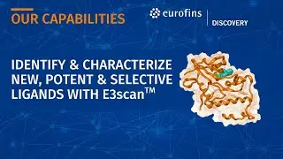 Identify & Characterize New, Potent & Selective Ligands with E3scan Ligand-Binding Assay Technology