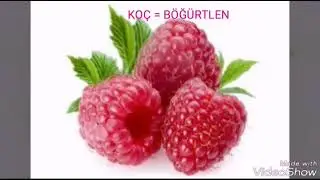 Burcuna göre hangi meyvesin