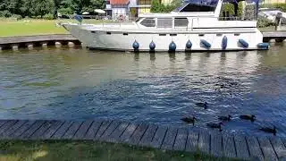Rheinsberg im schönem Hafendorf, Juli 2022