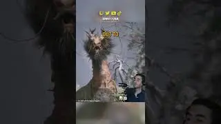 Do NOT MISS This Black Myth Wukong Quest