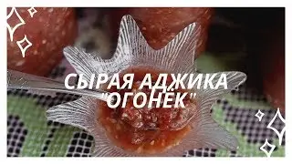 СЫРАЯ АДЖИКА 