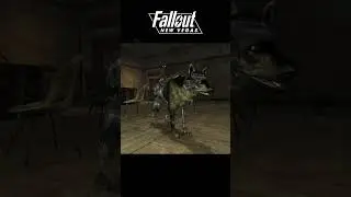 Fallout Dogs Through the Years 