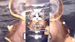 PRESET ALIGHT MOTION DIBAWAH 5MB DJ SAYANG APA KABAR DENGAN MU VIRAL TIKTOK