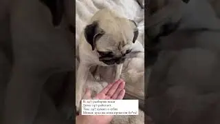 АНЯ ИЩУК И МИККИ В ШОКЕ 