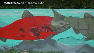 Kanaka Creek Regional Park Interpretive Mural