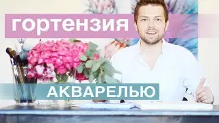 Рисуем ГОРТЕНЗИЮ / полный урок!
