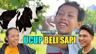 UCUP BELI SAPI | BANGIIJAL TV