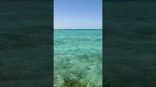 Египет
