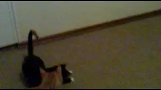10032010003.mp4
