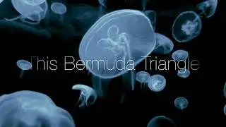 Pilgrims of the Mind - This Bermuda Triangle