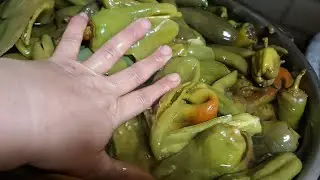 biber turşusu‼️‼️