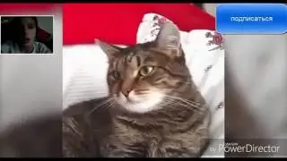 Моя реакция на тест на психику 2#
