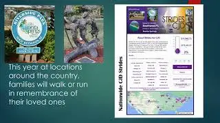 Strides for CJD 2024 - Southwest Florida