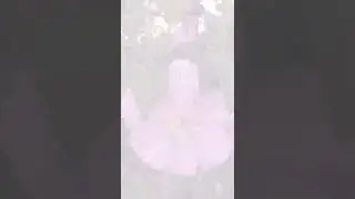 27 июня 2022 г.