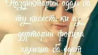 Зеботарин.   Клипи.  Ерони. Барои.  Ошкон