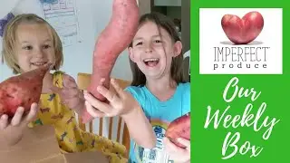 Vlogust Day #11 || Our Weekly Imperfect Produce Box {Homeschool Mom of 5}