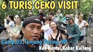 Bersama 6 Turis Ceko Visit Ke Camp 02, Orangutan Feeding Time #bersama#6th#turis#ceko #camp#shorts