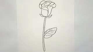 How to Draw a Rose Easy | Rose Drawing step by step | Sketches