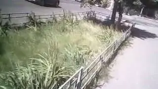 Сталк не большой по Г Саратов