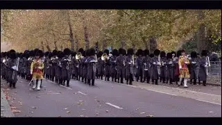 Remembrance Sunday 2021: The military bands march to the Cenotaph in London