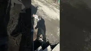Тоша ☀️