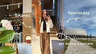 Поездка в Краснодар, запускаем школу вокала, будни и быт с предпринимателями