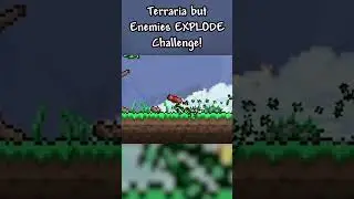 #terraria