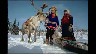 Финский язык Аудио Курс для начинающих Лекция № 1