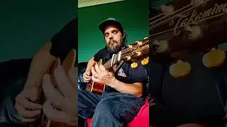 FUNKY RIFF #fingerstyleguitar #guitarist #funk