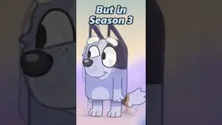 What’s Wrong With Socks?! 