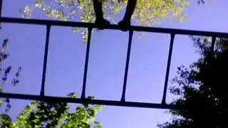 BareFeet Parkour