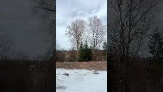 Горковское Лесное Угодье...
