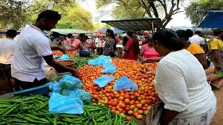 Sri Lankan Weekly Village Market | Business In Sri Lankan Food Market