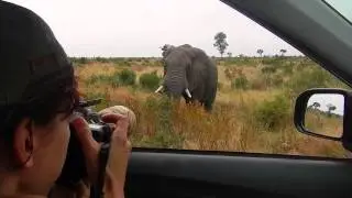 Trailer: Fotoreis Zuid-Afrika 2014