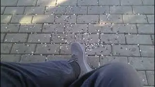 В КАРМАНЕ НЕТ, ЕСТЬ У ДОВЛАТОВА...