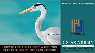 How to Use the Puppet Warp Tool in Photoshop: Tips and Tricks! (Malayalam)