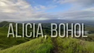 VLOG #4 | The Alicia Panoramic Park