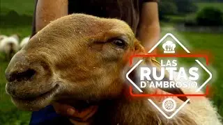 Pasiego - Rutas D’Ambrosio | La2